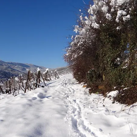 Au Coeur Des Vignes