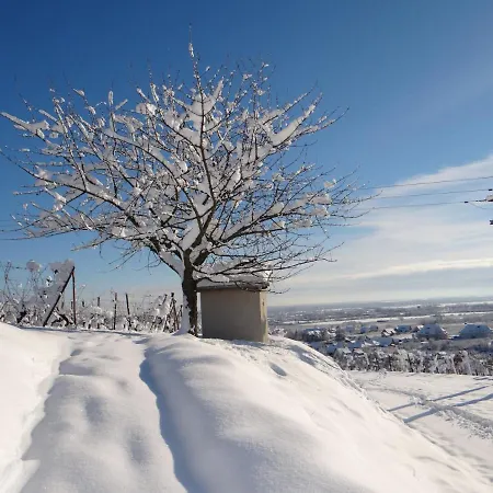 Au Coeur Des Vignes Apartamento Bergheim