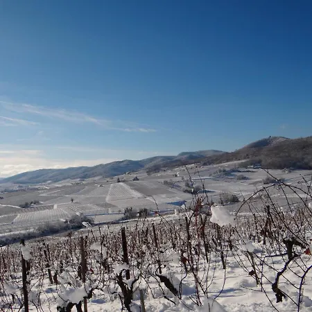 Au Coeur Des Vignes * Bergheim