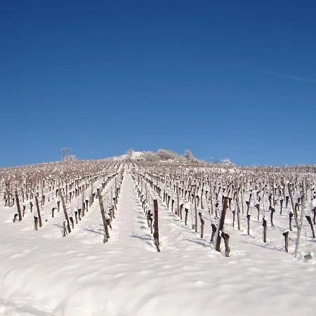 Apartamento Au Coeur Des Vignes Bergheim