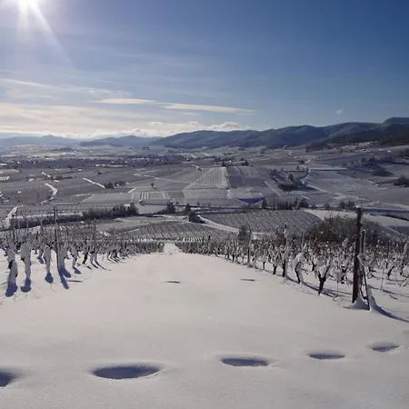 Au Coeur Des Vignes Apartamento Bergheim