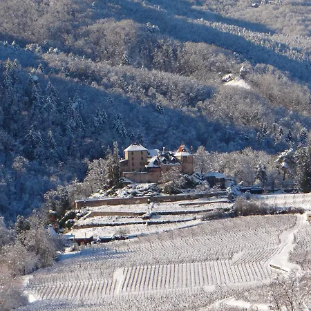 Au Coeur Des Vignes * Bergheim