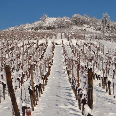 Au Coeur Des Vignes Apartamento