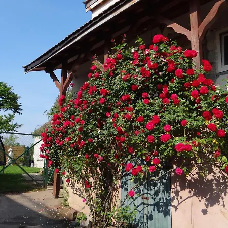 Apartamento Au Coeur Des Vignes Bergheim